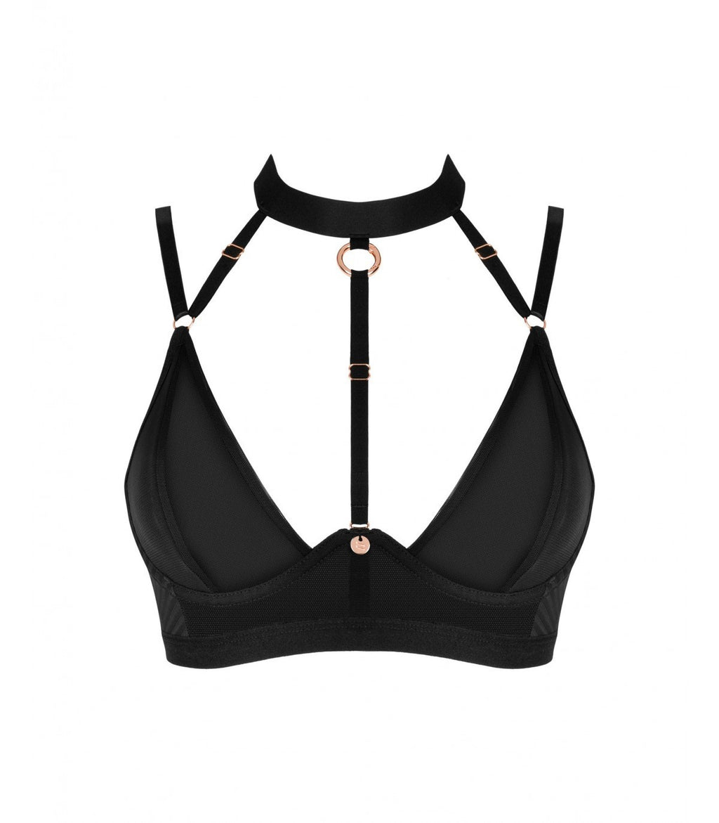 BRASICA REGGISENO M/L